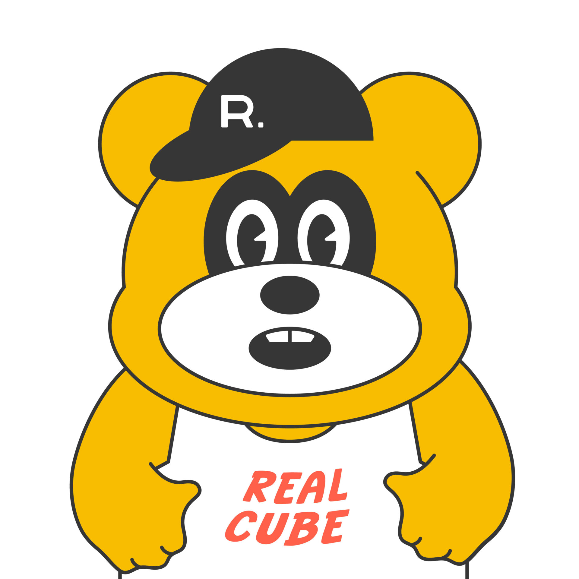 real_cube_inc